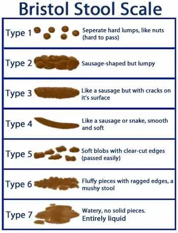 Bristol Stool Scale